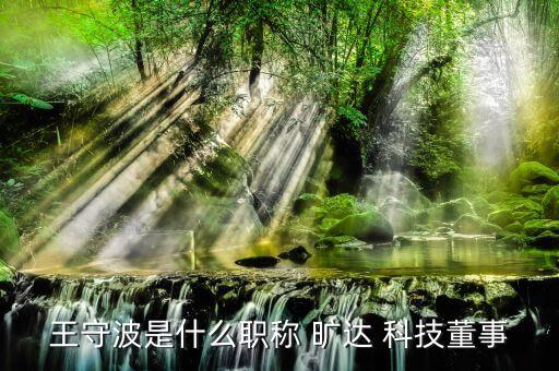 王守波是什么職稱(chēng) 曠達(dá) 科技董事