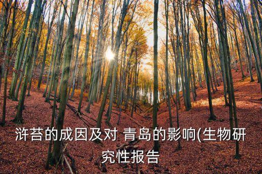 滸苔的成因及對(duì) 青島的影響(生物研究性報(bào)告