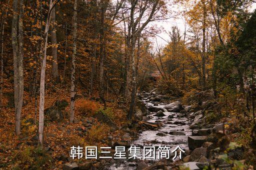 韓國三星集團(tuán)簡介