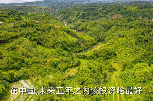 在中國,未來五年之內該投資啥最好