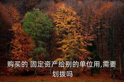 購(gòu)買的 固定資產(chǎn)給別的單位用,需要 劃撥嗎