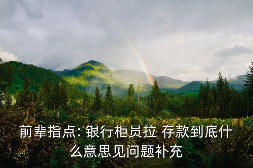 前輩指點: 銀行柜員拉 存款到底什么意思見問題補充