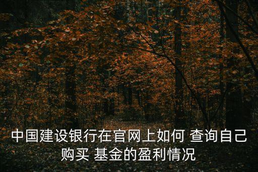 中國(guó)建設(shè)銀行在官網(wǎng)上如何 查詢(xún)自己購(gòu)買(mǎi) 基金的盈利情況