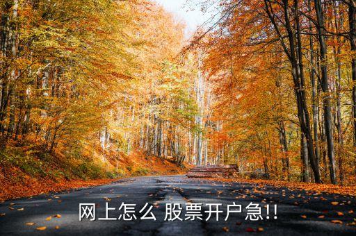 網(wǎng)上怎么 股票開戶急!!