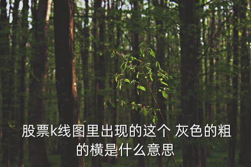  股票k線圖里出現的這個 灰色的粗的橫是什么意思