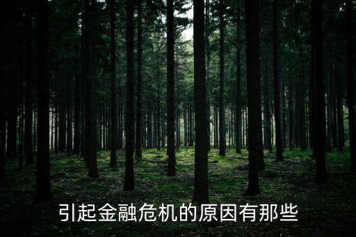 投資保護(hù)主義,什么叫保護(hù)主義