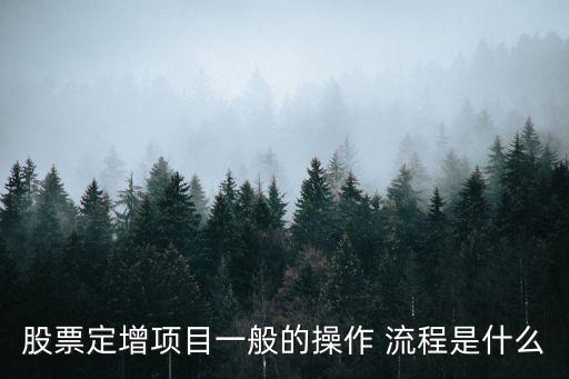 股票定增項目一般的操作 流程是什么