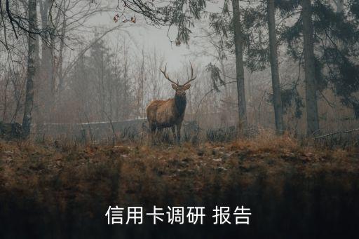 信用卡調研 報告