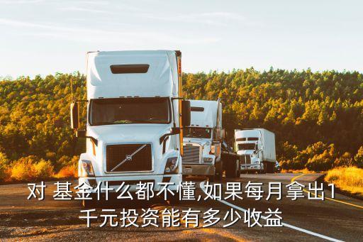 對(duì) 基金什么都不懂,如果每月拿出1千元投資能有多少收益