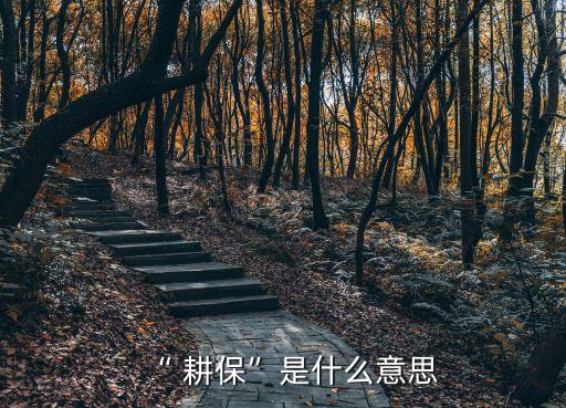 “ 耕?！笔鞘裁匆馑? class=