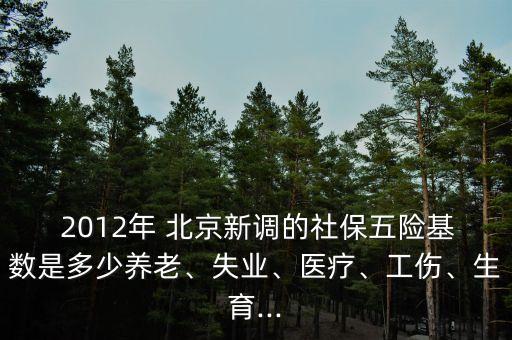  2012年 北京新調(diào)的社保五險基數(shù)是多少養(yǎng)老、失業(yè)、醫(yī)療、工傷、生育...
