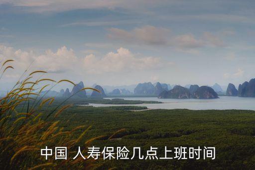 中國(guó) 人壽保險(xiǎn)幾點(diǎn)上班時(shí)間