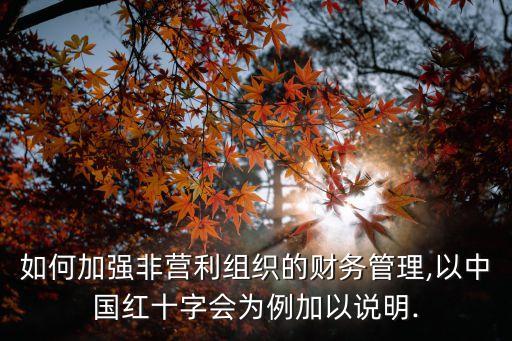 如何加強非營利組織的財務管理,以中國紅十字會為例加以說明.