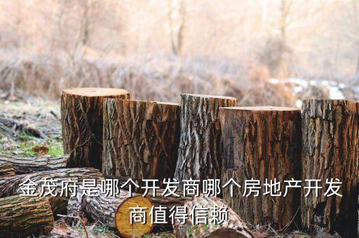  金茂府是哪個開發(fā)商哪個房地產(chǎn)開發(fā)商值得信賴