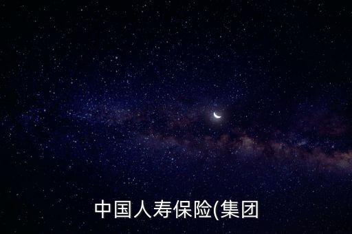 中國人壽保險(集團(tuán)
