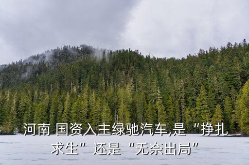  河南 國(guó)資入主綠馳汽車,是“掙扎求生”還是“無(wú)奈出局”