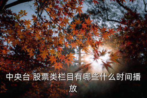 中央臺 股票類欄目有哪些什么時間播放
