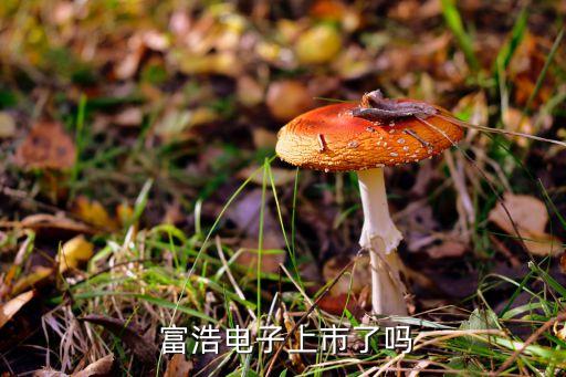 江蘇富浩醫(yī)療科技股份有限公司,江蘇愛(ài)朋醫(yī)療科技股份有限公司電話
