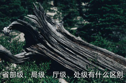 省部級(jí)、局級(jí)、廳級(jí)、處級(jí)有什么區(qū)別
