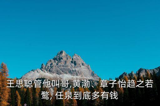 王思聰管他叫哥,黃渤、章子怡趨之若鶩, 任泉到底多有錢