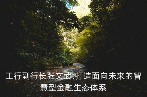 工行副行長(zhǎng)張文武:打造面向未來的智慧型金融生態(tài)體系