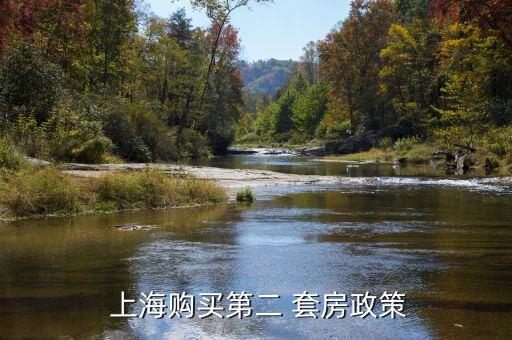  上海購(gòu)買第二 套房政策