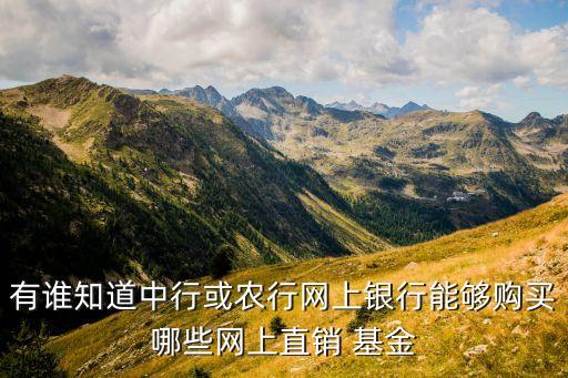 有誰(shuí)知道中行或農(nóng)行網(wǎng)上銀行能夠購(gòu)買(mǎi)哪些網(wǎng)上直銷(xiāo) 基金