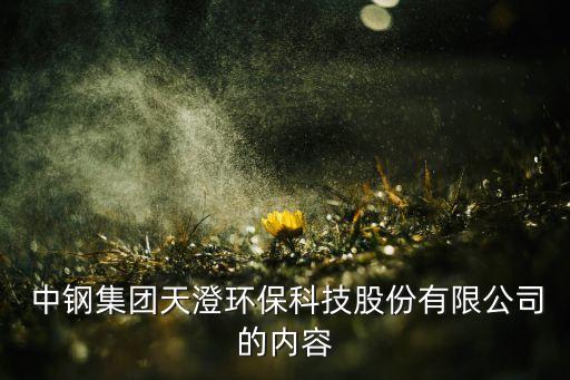  中鋼集團(tuán)天澄環(huán)保科技股份有限公司的內(nèi)容