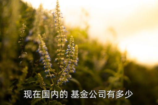 基金業(yè)的行業(yè)規(guī)模,美國(guó)基金業(yè)資產(chǎn)規(guī)模