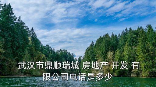  武漢市鼎順瑞城 房地產(chǎn) 開(kāi)發(fā) 有限公司電話(huà)是多少