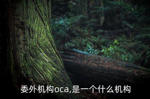  委外機(jī)構(gòu)oca,是一個什么機(jī)構(gòu)