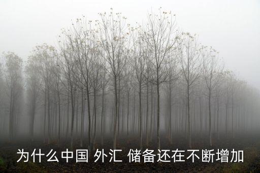 為什么中國(guó) 外匯 儲(chǔ)備還在不斷增加