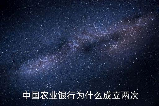 中國(guó)農(nóng)業(yè)銀行2013年年度報(bào)告