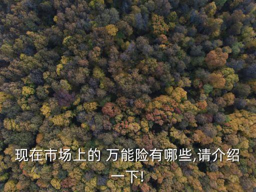 現(xiàn)在市場(chǎng)上的 萬能險(xiǎn)有哪些,請(qǐng)介紹一下!