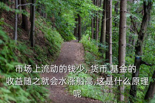 貨幣基金收益和什么有關