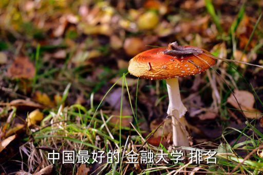 中國最好的 金融大學 排名