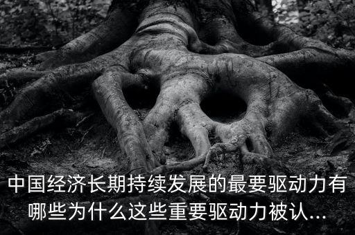 中國(guó)經(jīng)濟(jì)長(zhǎng)期持續(xù)發(fā)展的最要驅(qū)動(dòng)力有哪些為什么這些重要驅(qū)動(dòng)力被認(rèn)...