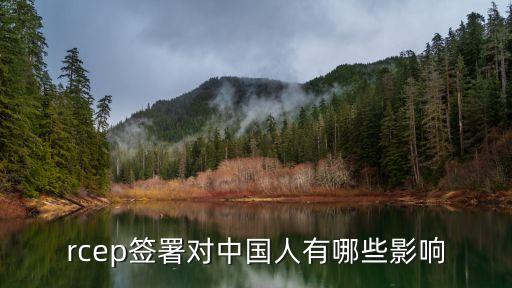 中國新加坡自由貿易協(xié)議,新加坡自由貿易港區(qū)的優(yōu)勢