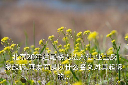  北京20年?duì)€尾樓無(wú)法入住,業(yè)主反被起訴,開發(fā)商是以什么名義對(duì)其起訴的...