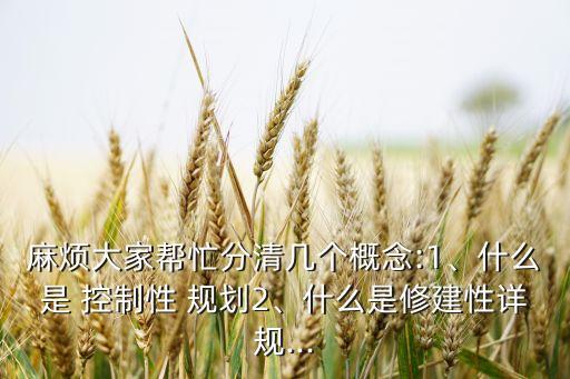 麻煩大家?guī)兔Ψ智鍘讉€(gè)概念:1、什么是 控制性 規(guī)劃2、什么是修建性詳規(guī)...