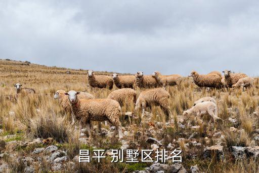 北京御湯山別墅去化,御湯山別墅為什么買(mǎi)不出去