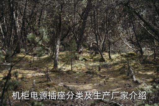 深圳市國電巨龍電氣技術有限公司