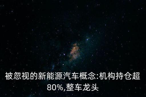 被忽視的新能源汽車概念:機構持倉超80%,整車龍頭