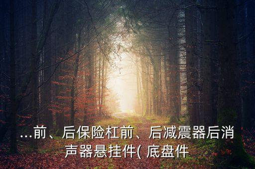 ...前、后保險(xiǎn)杠前、后減震器后消聲器懸掛件( 底盤(pán)件