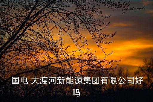  國(guó)電 大渡河新能源集團(tuán)有限公司好嗎