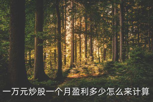 一萬元炒股一個(gè)月盈利多少怎么來計(jì)算