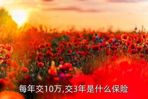 每年交10萬,交3年是什么保險