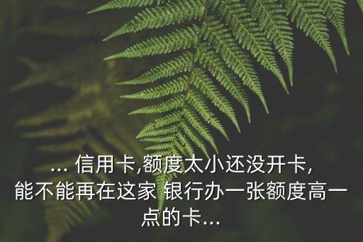 ... 信用卡,額度太小還沒(méi)開卡,能不能再在這家 銀行辦一張額度高一點(diǎn)的卡...