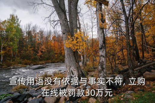 宣傳用語沒有依據(jù)與事實(shí)不符, 立購(gòu)在線被罰款30萬元
