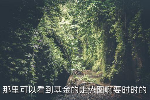 那里可以看到基金的走勢(shì)圖啊要時(shí)時(shí)的